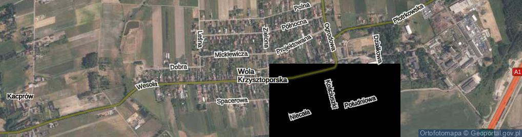 Zdjęcie satelitarne Wola Krzysztoporska ul.